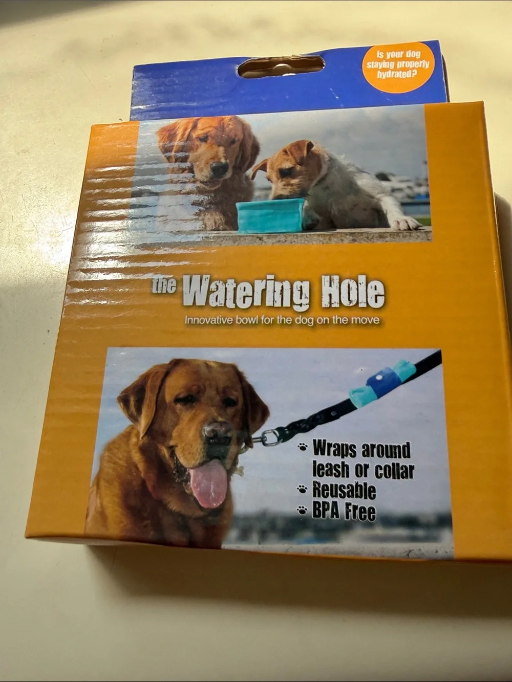 Reusable Dog Travel Bowl - Blue